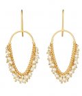 Photo of gold and pearl earrings on white background